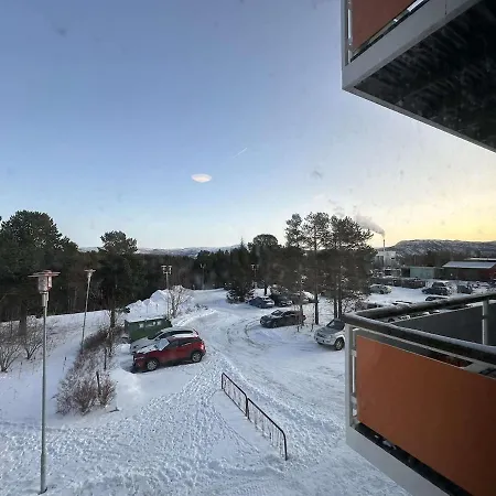 Downtown Aurora 公寓 阿尔塔